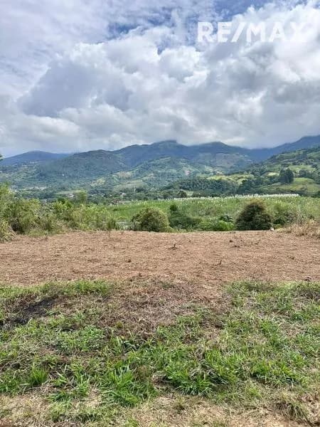 SE VENDE PARCELA EN CAPACHITO , SECTOR TARIBA