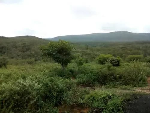 Se Vende Lote De Terreno En Ureña