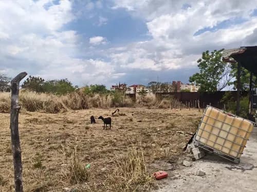 Hermanas Mota Venden Terreno En Zona Industrial Paraparal Los Guayos Valencia