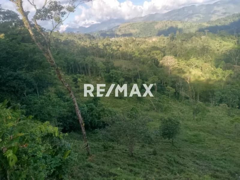 SE VENDE TERRENO EN LA VIA PRINCIPAL DE CANEYES