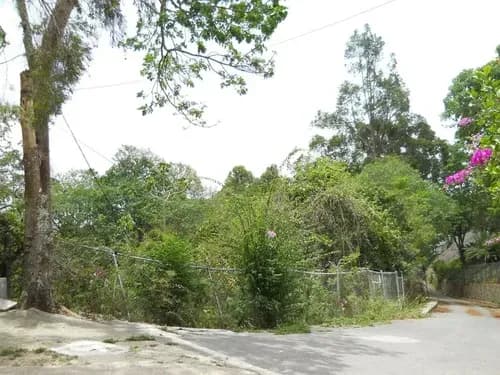 Terreno En Venta En El Peñon 23-26916 Mg