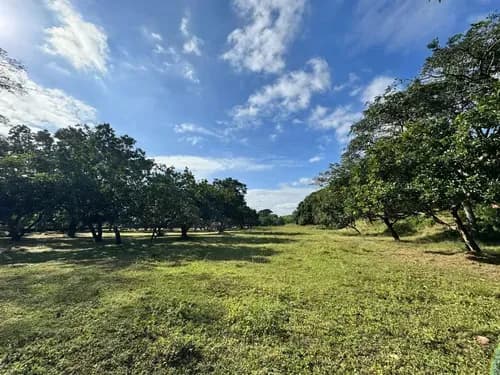 Terreno En Venta Multifuncional Sector Vigirima Guacara Jc-lp