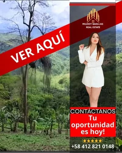 Terreno En Venta San Diego De Los Altos