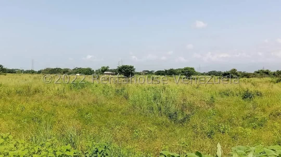 Terreno (Comercial) en Venta en Flor Amarillo, Carabobo