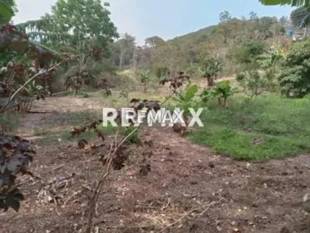 Terreno en venta en el sector Caneyes