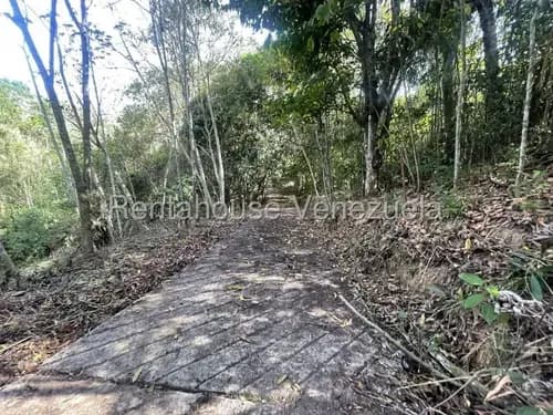 Terreno En Venta El Hatillo Mls #25-18367 Gn