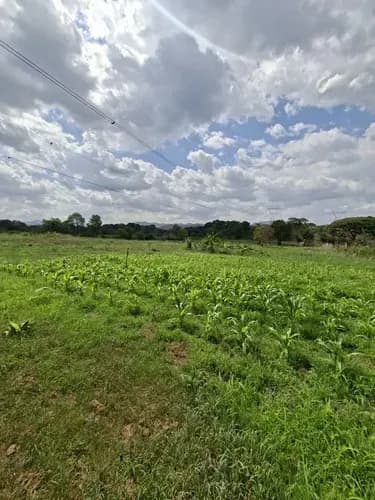 Se Vende Terreno Con Excelente Ubicacion En Tocuyito