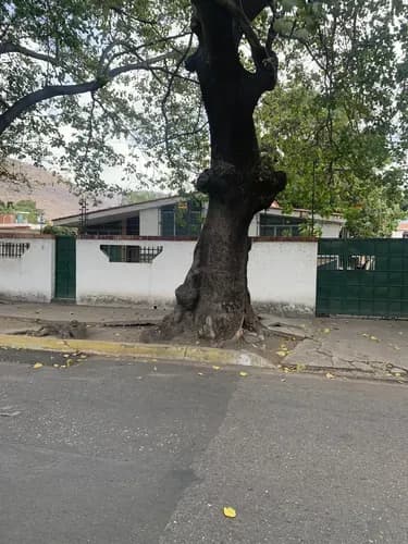En Venta Casa Comercial En La Floresta Maracay Edo Aragua