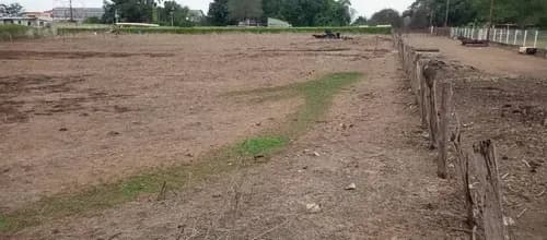 Terrenos En Safari Carabobo Country Club Paola C