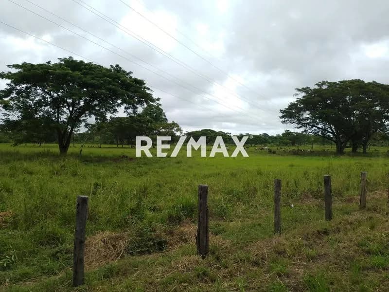 Finca Operativa en Venta en vía Maturín - Orocual, Estado Monagas