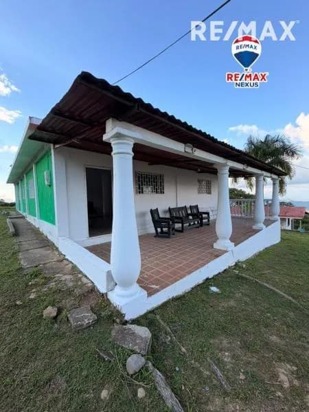 El hogar que soñaste: Espacios abiertos, frescura y tranquilidad total