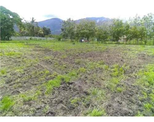 Terreno En San Diego Carabobo El Polvero