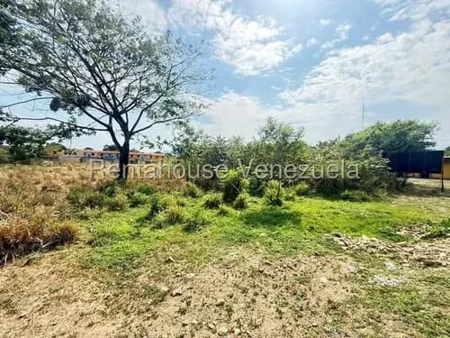 Rosa Espinoza Terreno En Venta En El Pueblo De San Diego De Más De 8mil M2. Oportunidad Excepcional Para Inversionistas Y Desarrolladores. 26-16491 May27