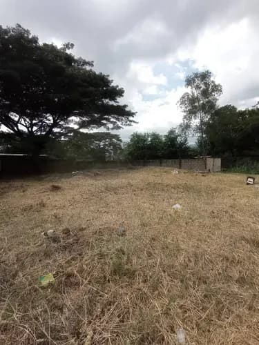 Parcela En Maco Maco San Diego Estado Carabobo Lm Vende