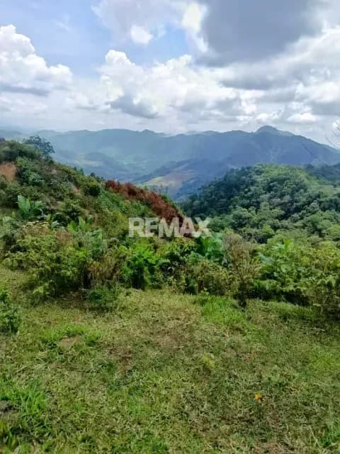 Finca en Venta – Vega de Aza