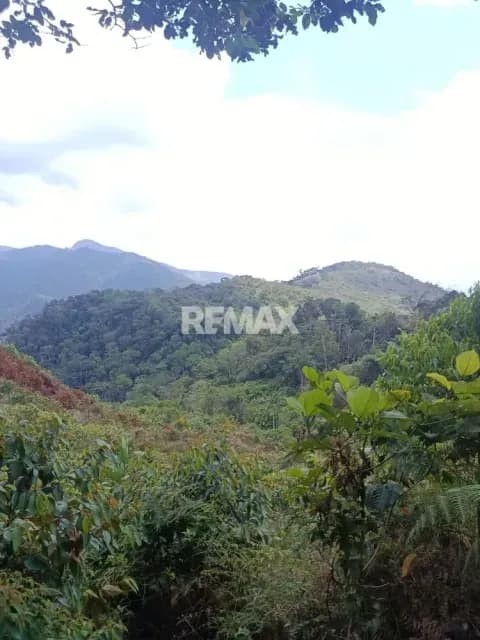 Finca en Venta – Vega de Aza