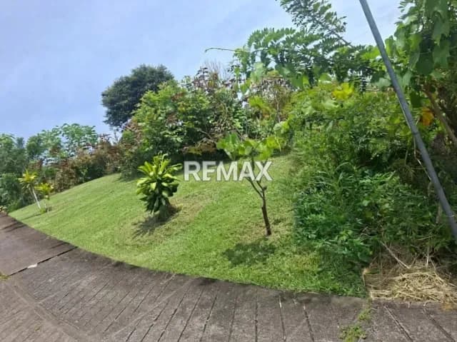 LOTES DE TERRENO EN VENTA – PALMIRA Ubicación: Sector La Aduana, Palmira NRO 3