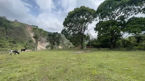 Terreno En Venta En Cordero Ms