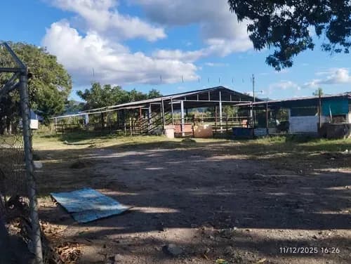 Venta De Finca De 15 Hectáreas De Terreno Plano, En Güigüe Carlos Arvelo