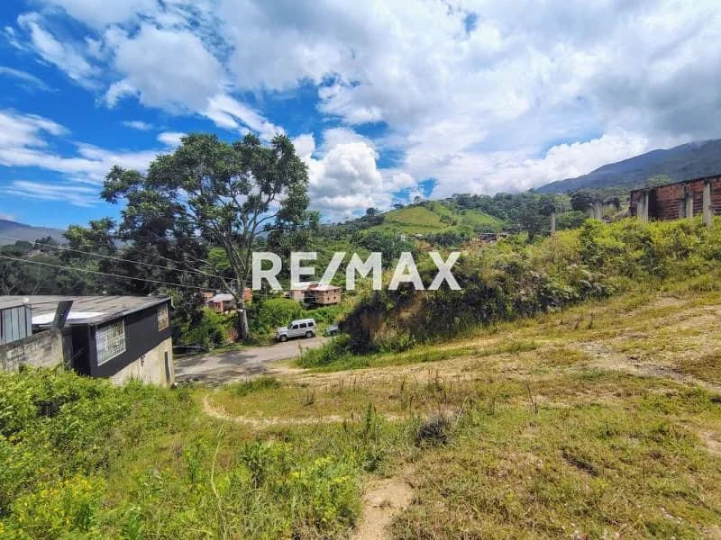Terreno. Venta. Palo Gordo