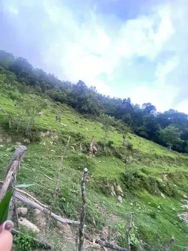 Terreno En Venta En Pericos San Cristóbal /im