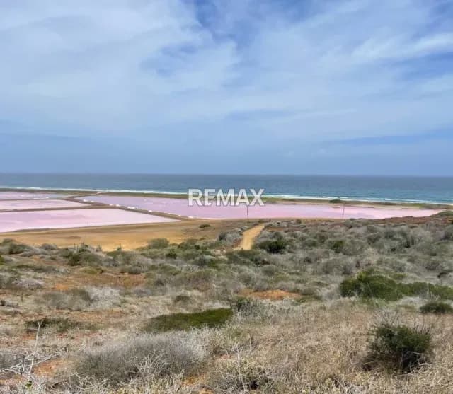 INVIERTE EN LA CUEVA DEL BUFÓN: EN VENTA TERRENO DE 576M² CON VISTA AL MAR EN LAS SALINAS DE PAMPATAR. ¡EL LUGAR PERFECTO PARA TU PRÓXIMO PROYECTO RESIDENCIAL O TURÍSTICO EN MARGARITA!