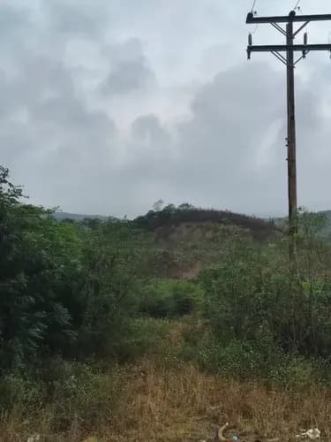 Se Vende Terreno En Ureña