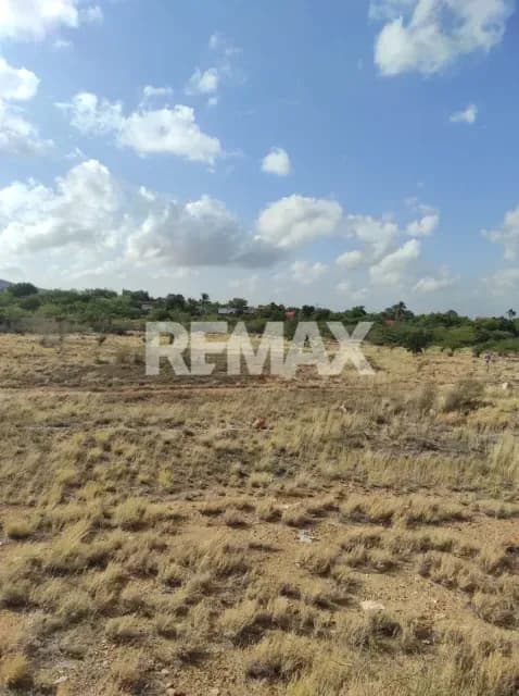 Lote de Terreno en Taguantar, vía La Guardia – Juangriego N.II-07
