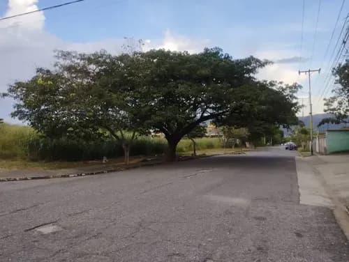 Terreno Comercial Morro Ii Z42-04