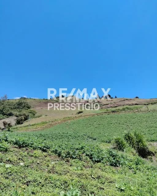 terreno en venta