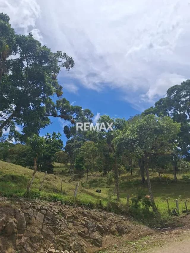 Se vende terreno en tamuco municipio Andres Bello