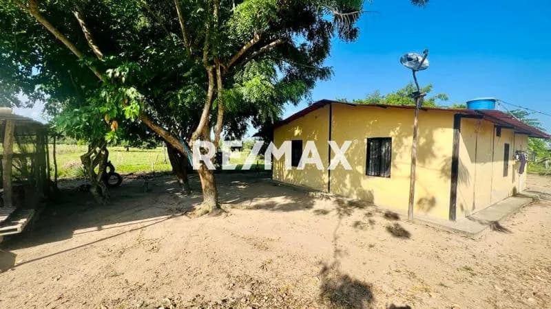 En venta granja avícola de 5 has, sector Curito abajo, capitanejo