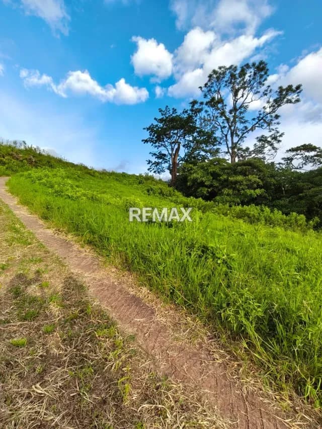 VENTA DE TERRENO EN HELECHALES PALO GORDO