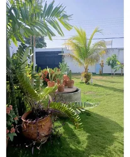 Casa Higuerote Zona Del Este