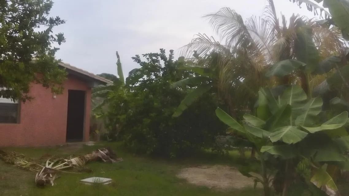 Terreno (Residencial) en Venta en Higuerote, Miranda