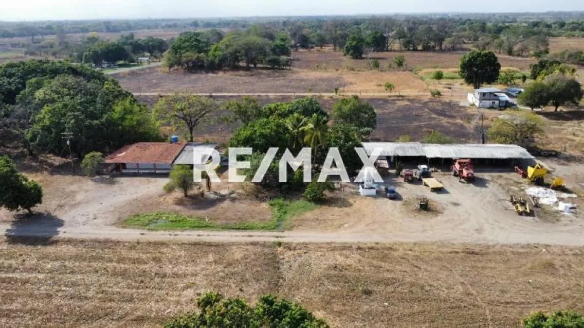 116 HECTAREAS MAICERAS PRODUCTIVAS EN VENTA, DE FACIL ACCESO. A 15 MIN DE LA CIUDAD