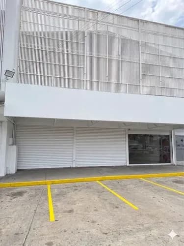 Local Comercial En Alquiler 870ms