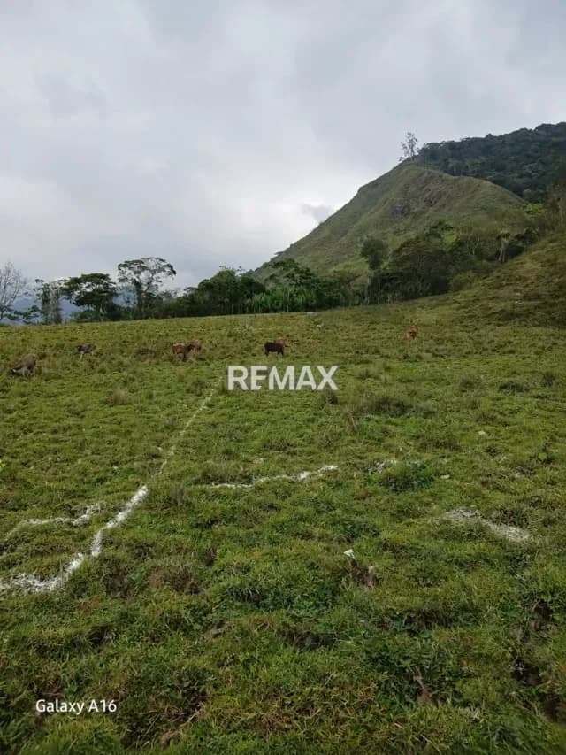 EN VENTA TERRENO EN CORDERO