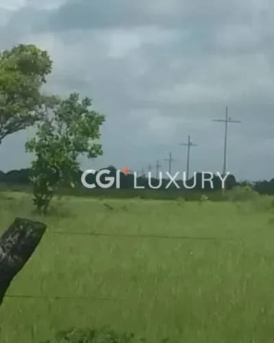 Cgi+ Luxury El Tigre Vende Finca A 40 Minutos De El Tigre, En La Faja Petrolífera Del Orinoco A 40 Minutos De Ciudad Bolivar