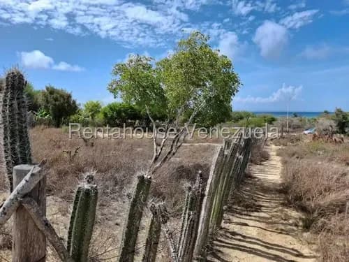 Terreno Residencial Con Todos Sus Servicio, Calle Asfaltada, Ideal Para Desarrollar Tu Proyecto Residencial O Conercial