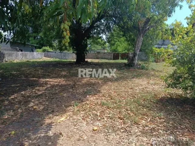 TERRENO CON ALTO POTENCIAL COMERCIAL