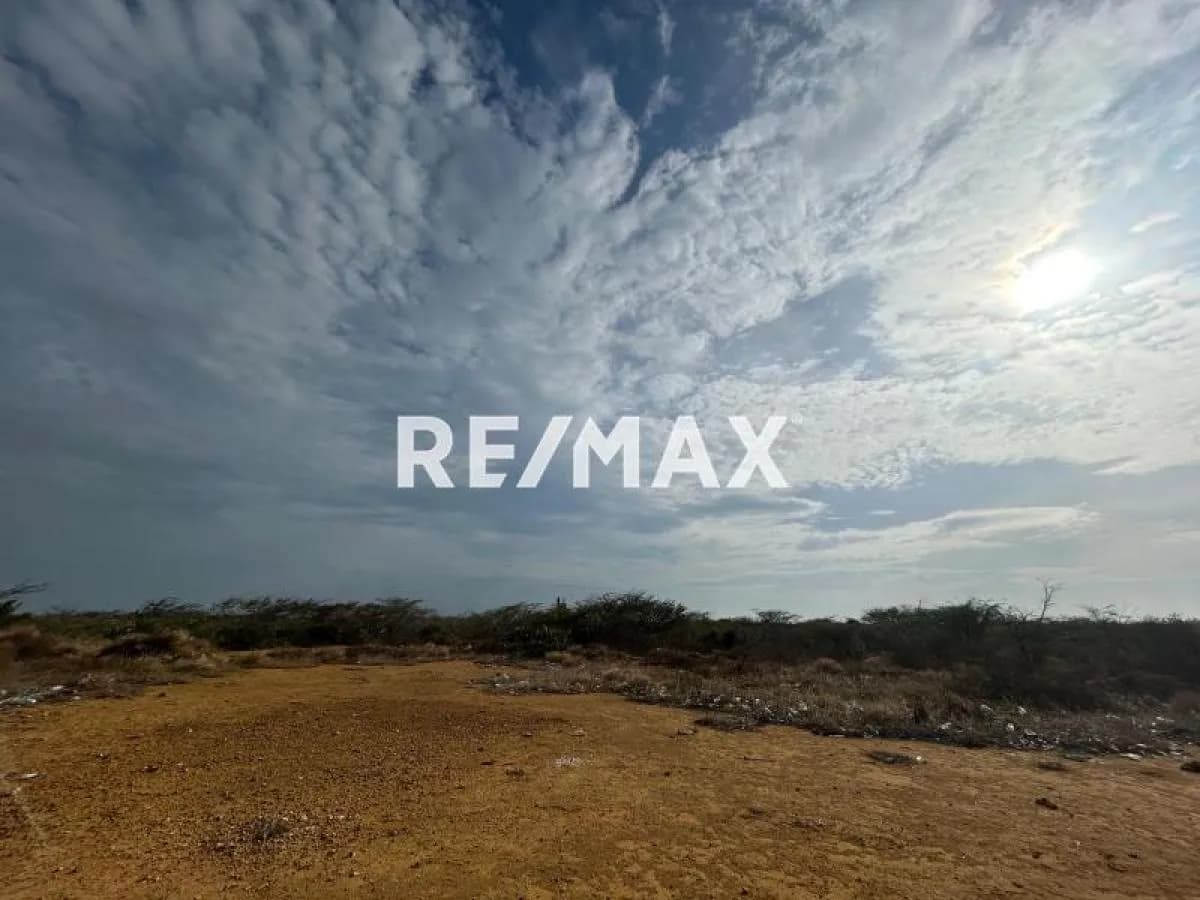 Parcela de 10.000m2 en Guanadito Sur.
