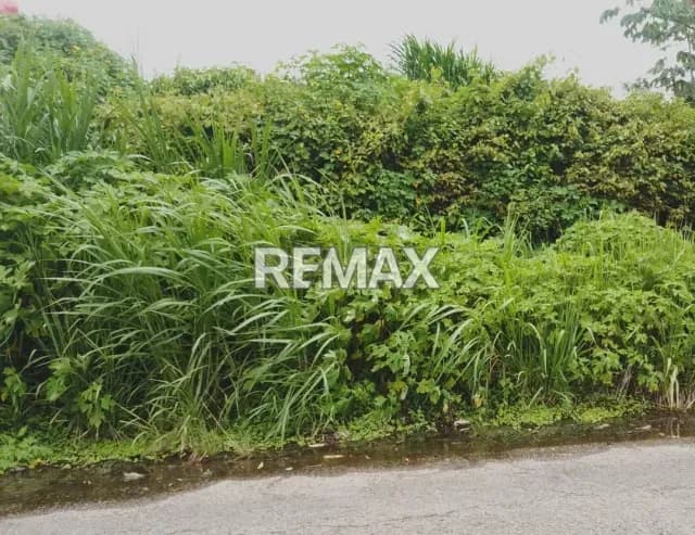 En venta Lote de Terreno ubicado en Pan de Azúcar