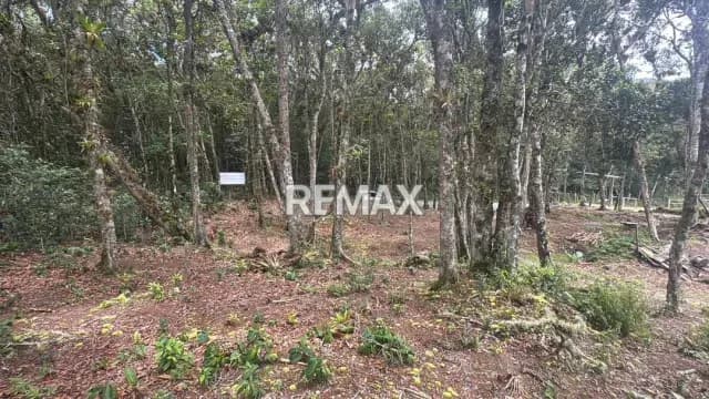 VENTA DE TERRENO EN POTRERO DE LAS CASAS VIA CASA EL PADRE