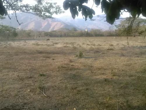 Eds Vende Terreno Hacienda Monteserino - Plt-223
