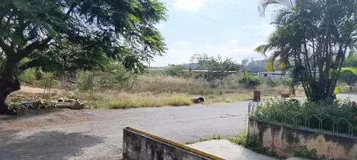Venta Terrenos Guarenas: Zona Industrial Cloris. Detrás De La Calle Del Hambre.