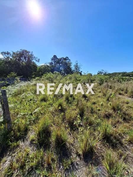 SE VENDE PARCELA EN MONTECARMELO