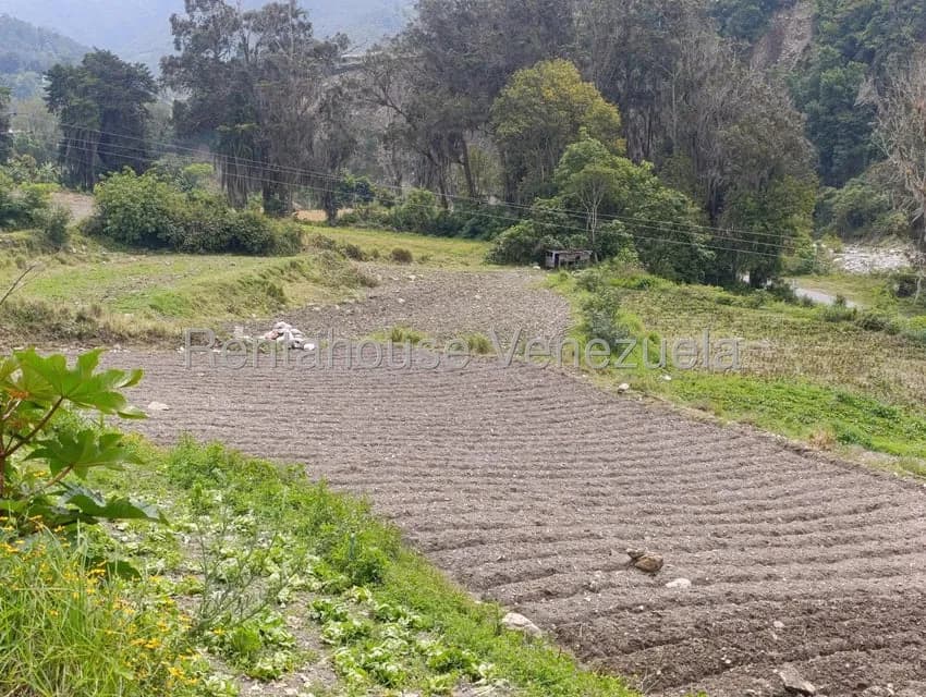 Terreno (Comercial) en Venta en Cacute, Merida