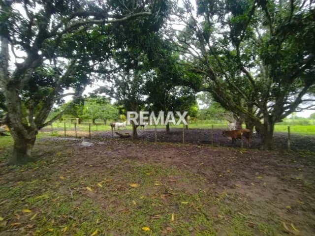 En Venta Granja con Casa de Campo y Excelente Potencial Turístico en vía Maturín - Orocual.