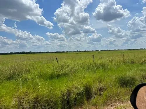 Se Vende Hato Premium En El Estado Guárico De 13 Mil Hectáreas: Ganadería, Agricultura, Turismo, Entre Otros. (r.o)